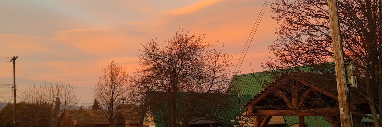 Rominnnnu's profile banner image