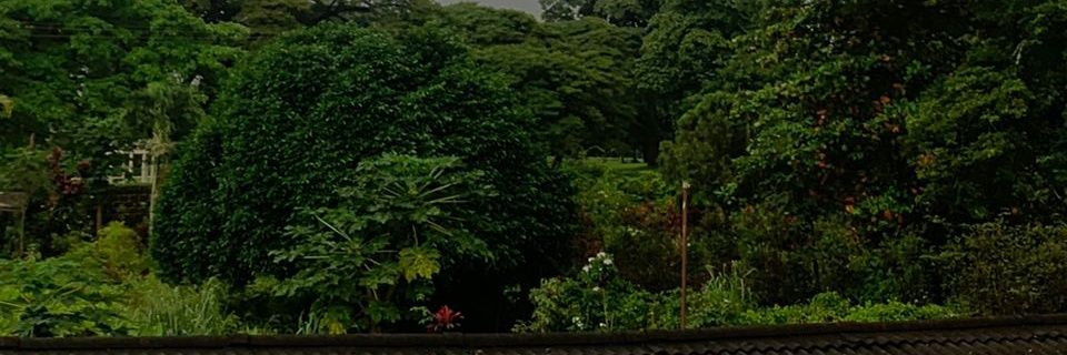 LAbulude's profile banner image