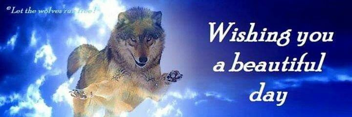 Rad banner