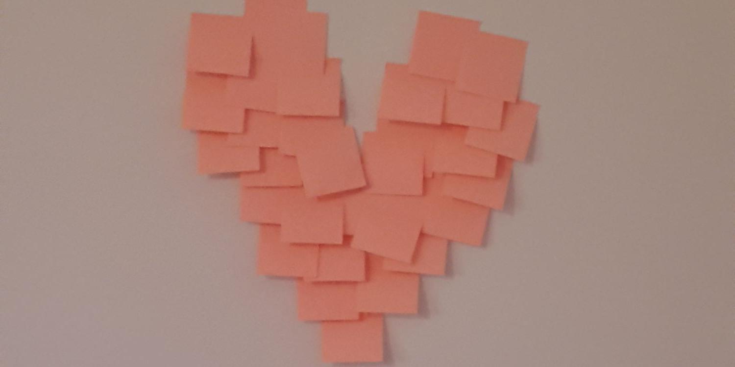 Camilla Sebelius banner