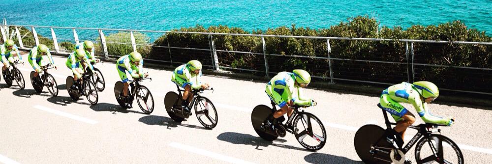 stefania curto banner