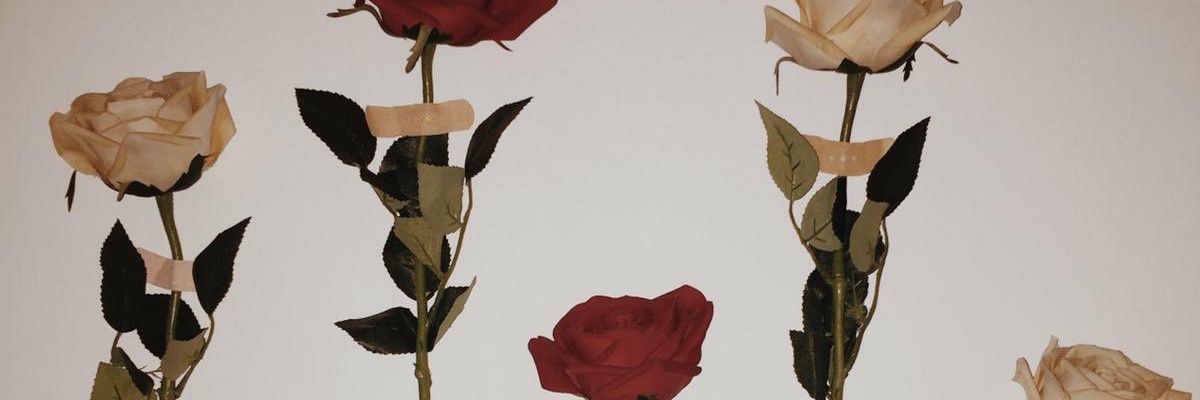 shuseynli1's profile banner image