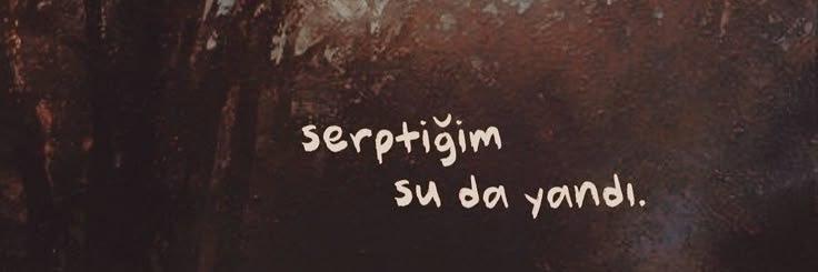 benguertann's profile banner image