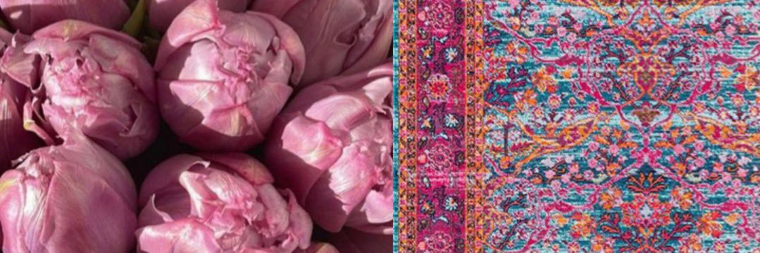 elifvera 📷 banner