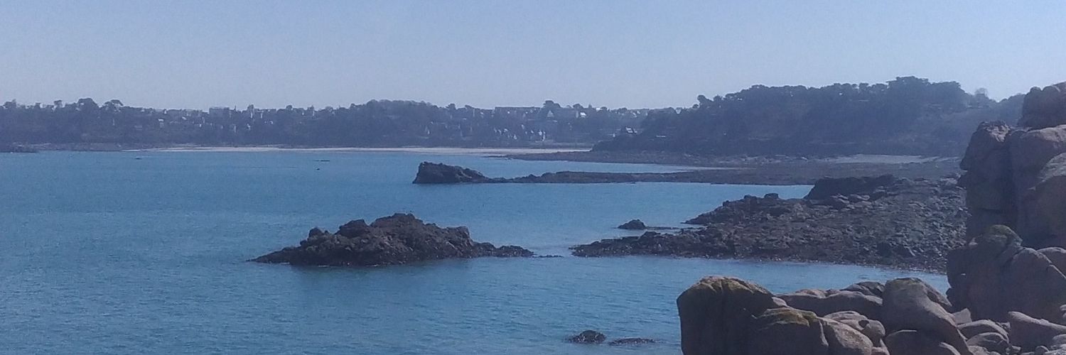 celticia_'s profile banner image