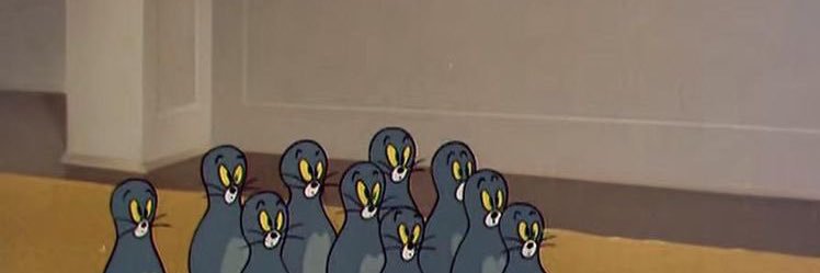 ดิฉันถามว่า banner