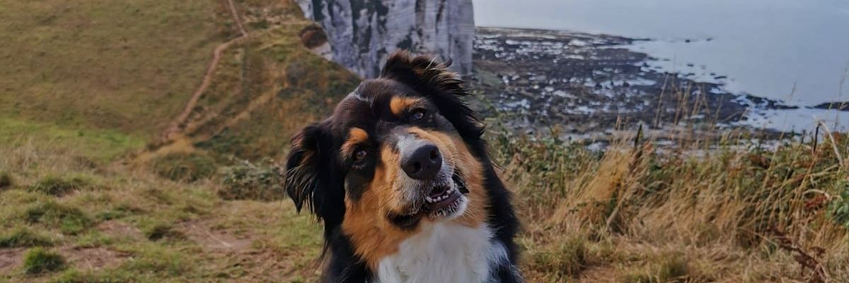 Stéphane Raymond 🏀 banner