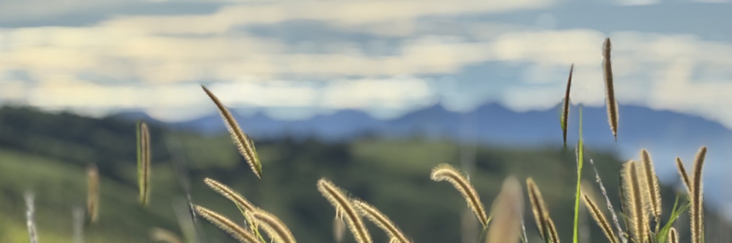 zeluxxe's profile banner image