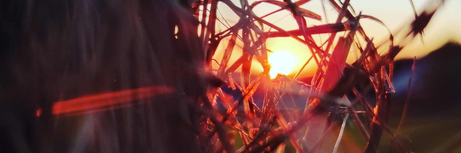 LouisDiox's profile banner image
