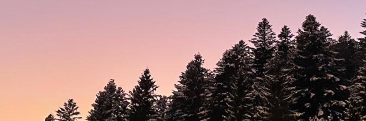 Hélène 🦋 banner