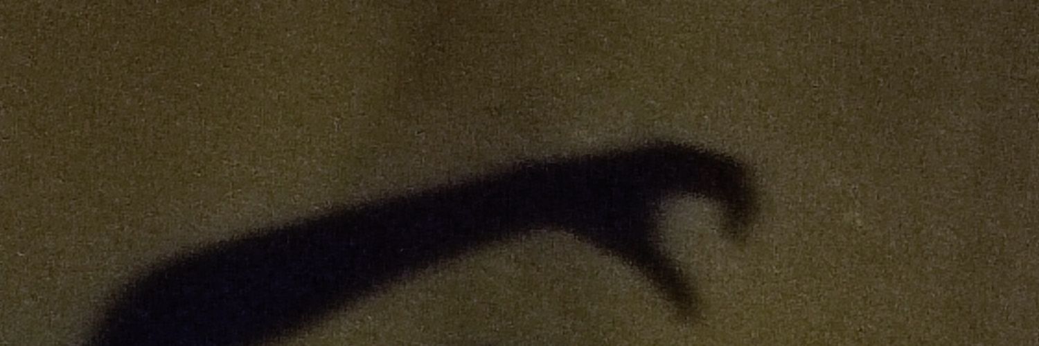 Jetli_VP's profile banner image