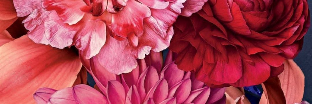 giakeke's profile banner image