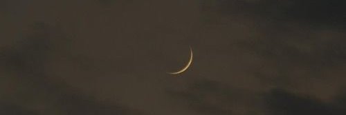 Mahelt Valentina🌙 banner