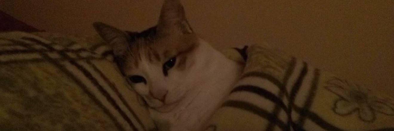 ب banner