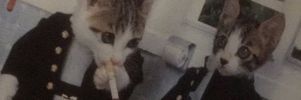 malconian_'s profile banner image