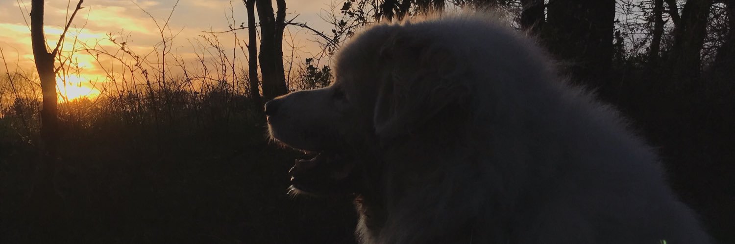 hannah__qt's profile banner image