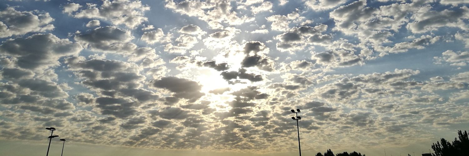 _Azilei_'s profile banner image