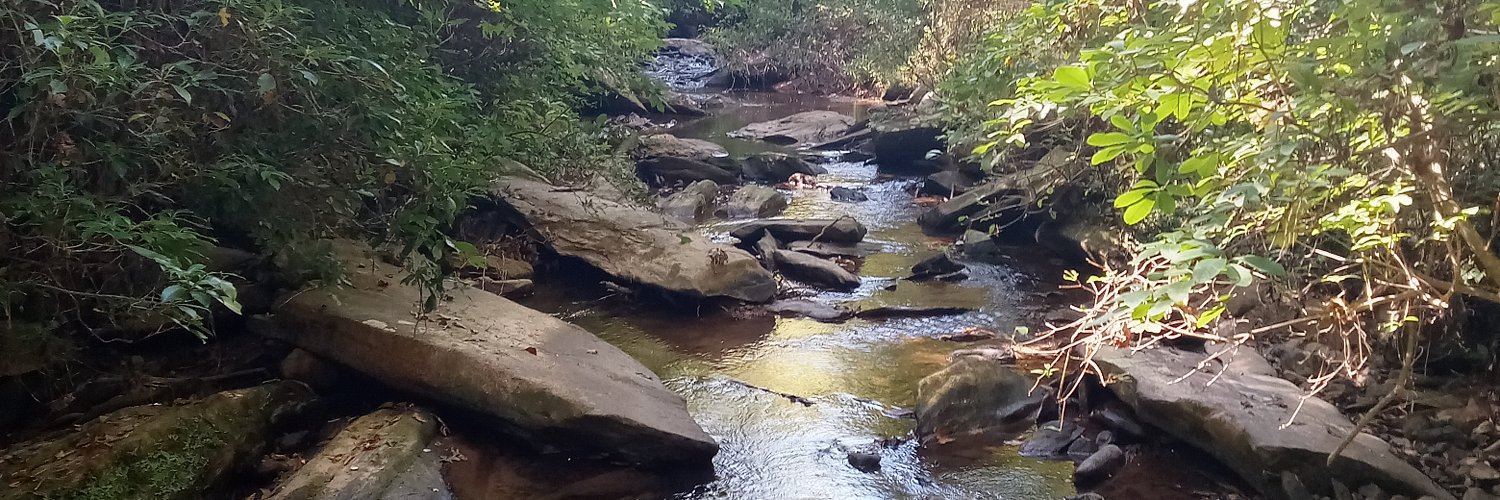 Kristina Nicole Schwarz banner