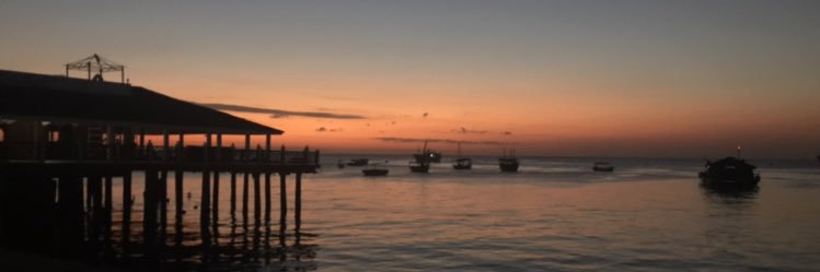mchale_9's profile banner image