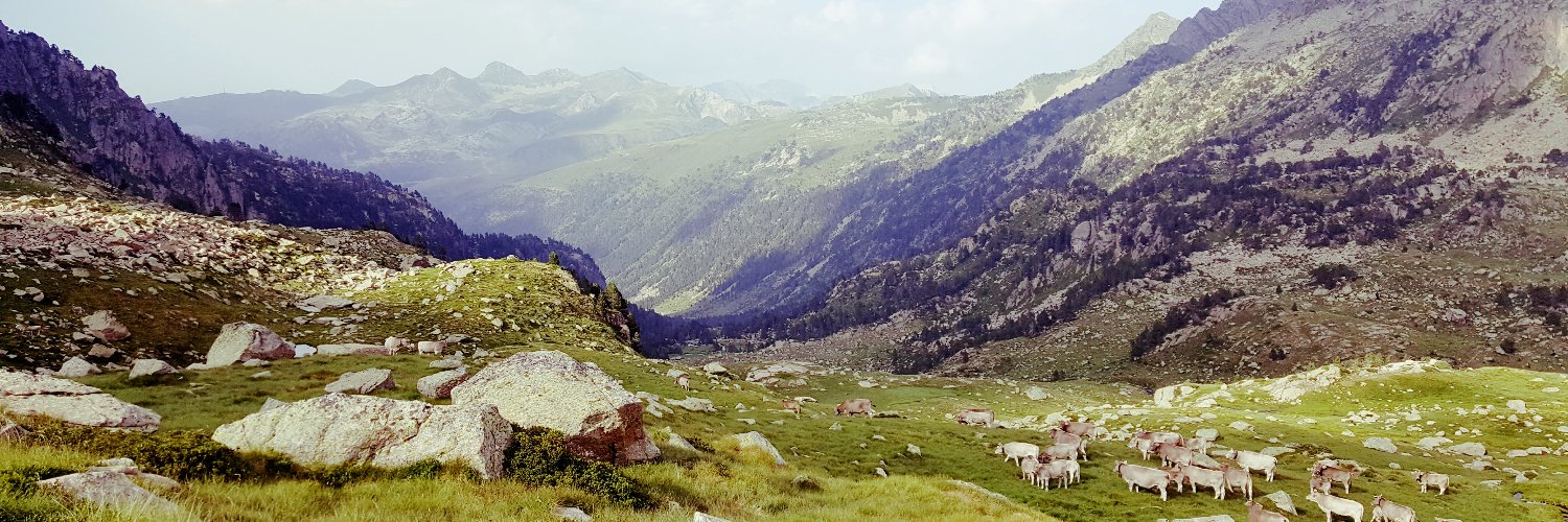 Hélène Matte banner