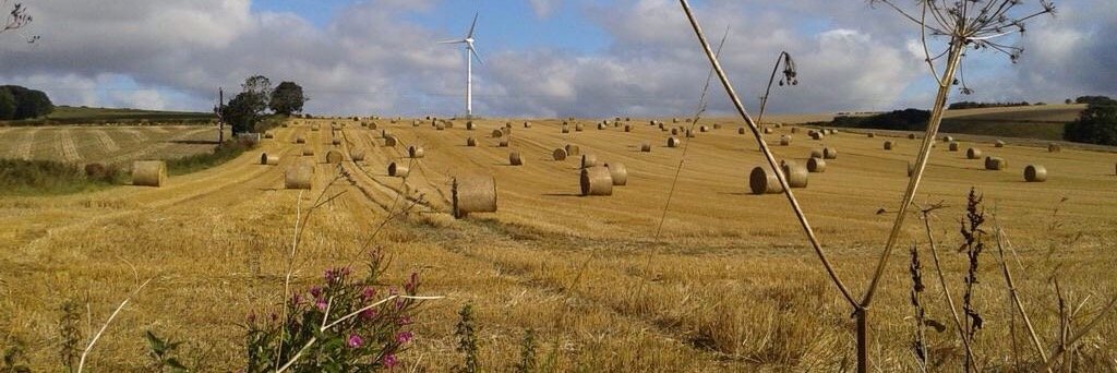 James Richardson banner