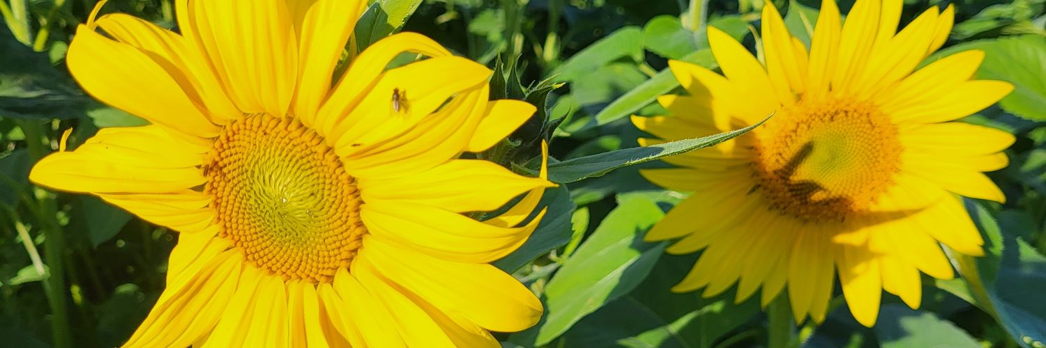 Katarzy39656331's profile banner image