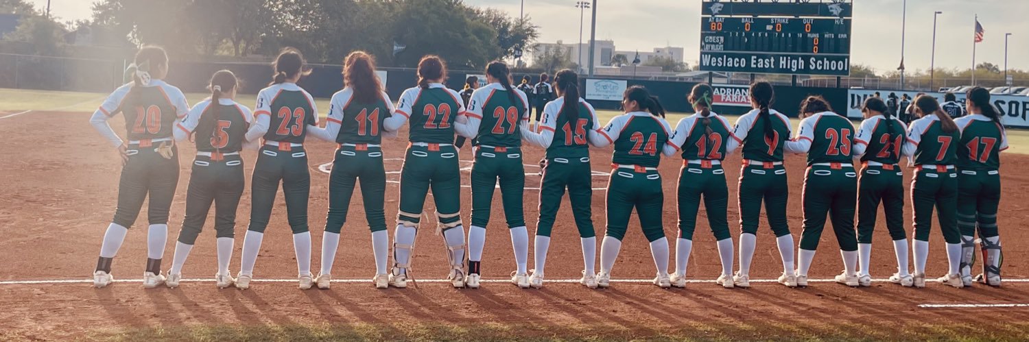 Lady Hawk Softball banner