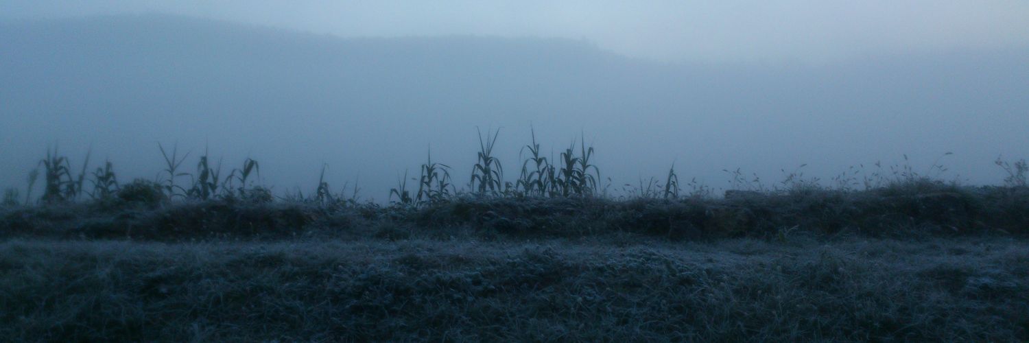 AugustDreszach's profile banner image
