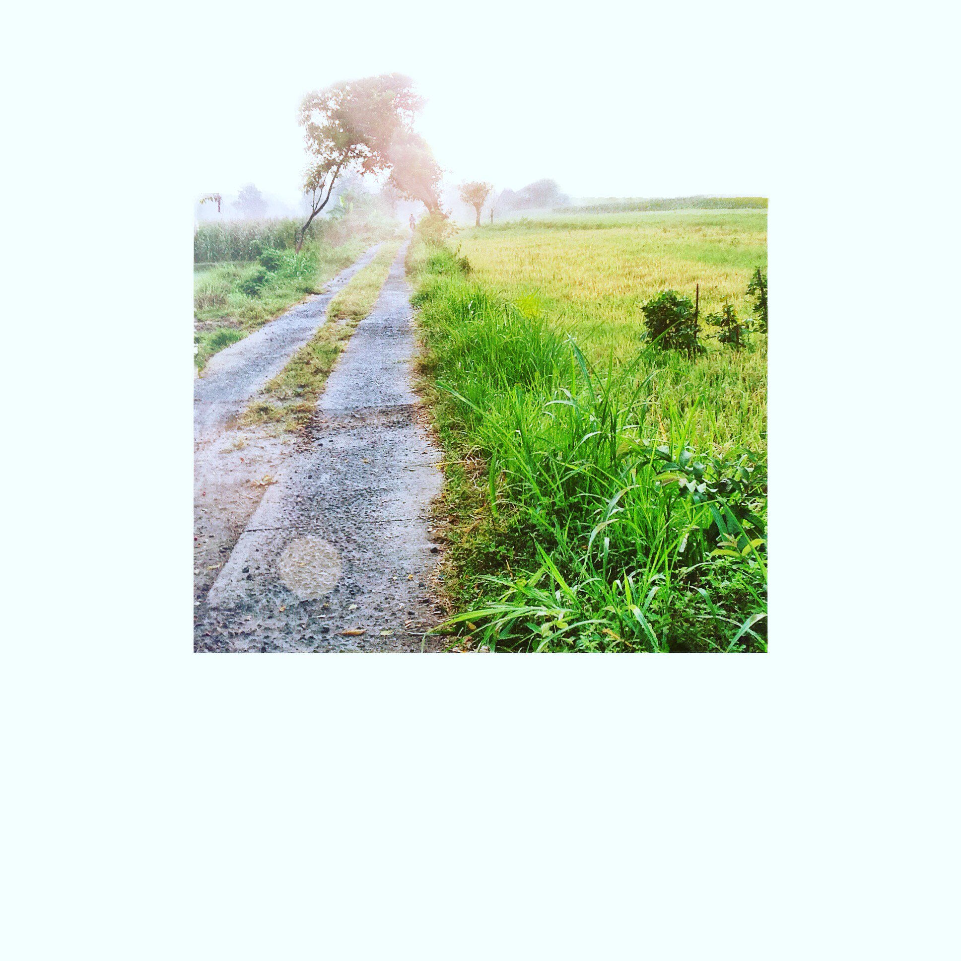 HelloFreshAir's profile banner image