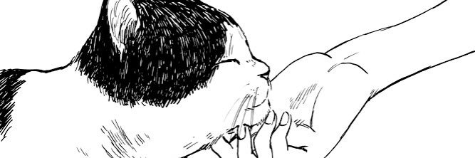 muwtic's profile banner image