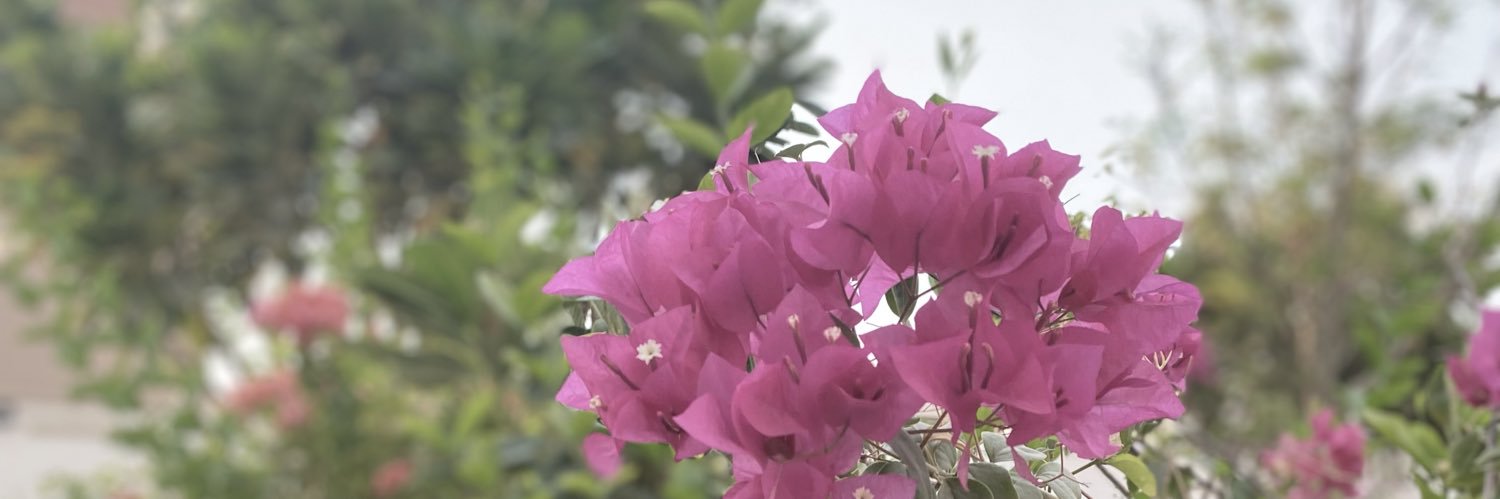 alamera__900's profile banner image