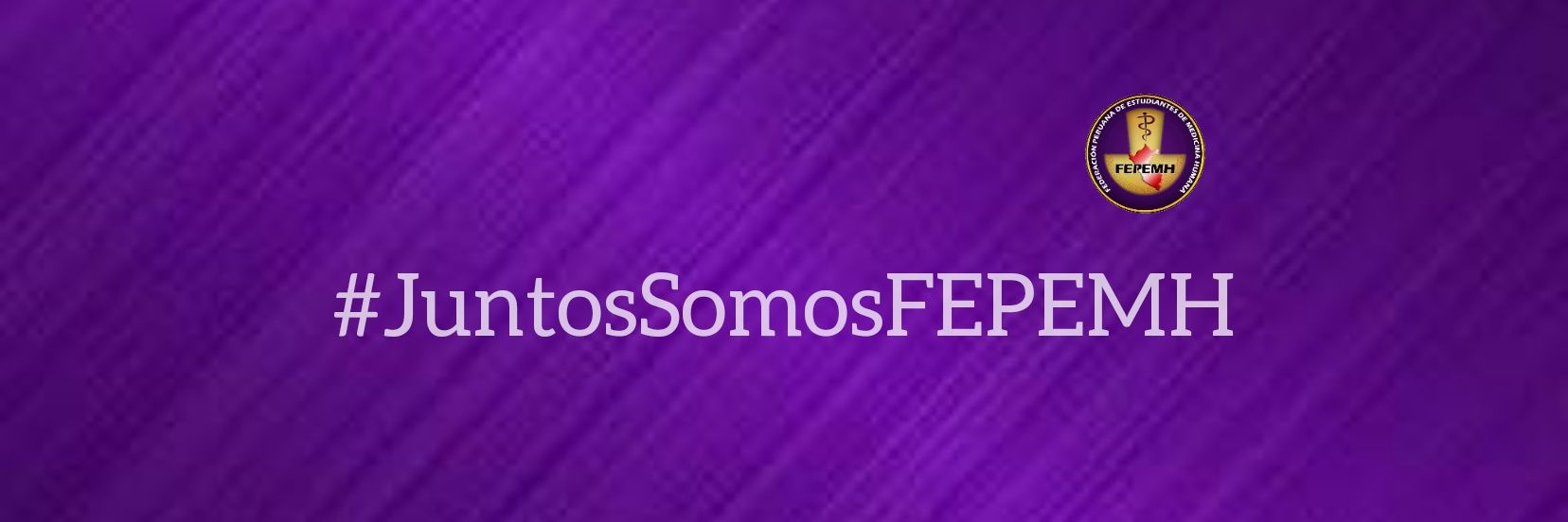 FEPEMH banner