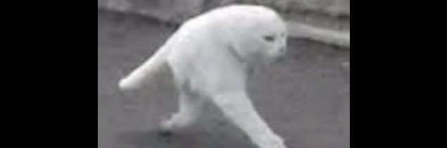 boyppppppp's profile banner image