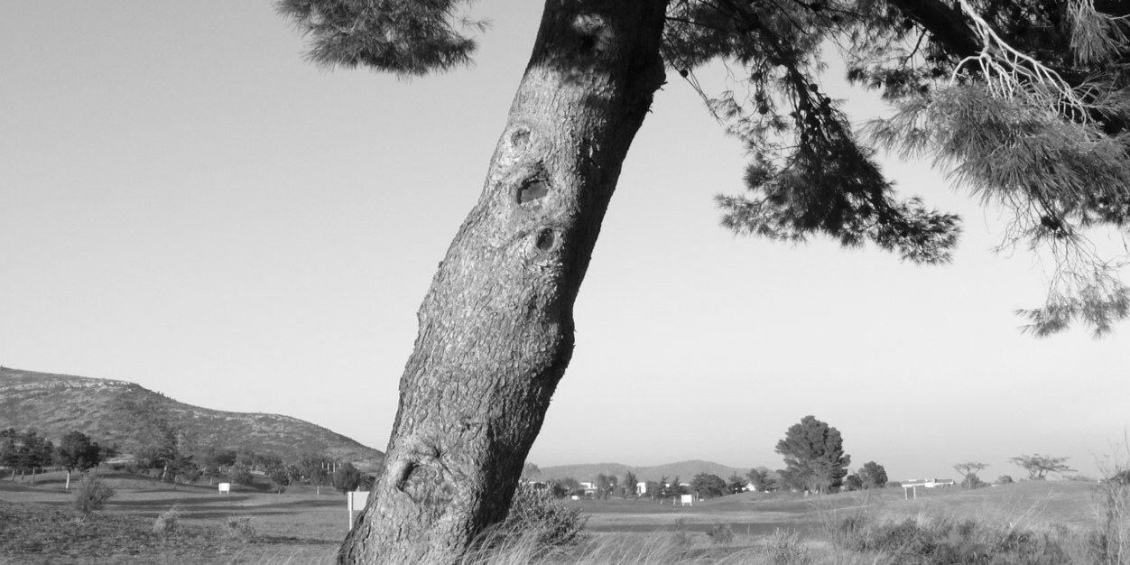nel_la08's profile banner image