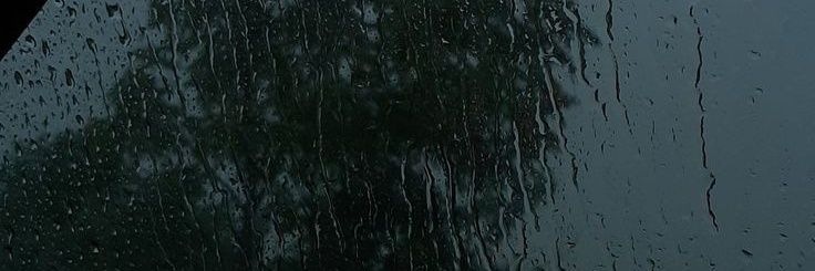 yukimurrr's profile banner image