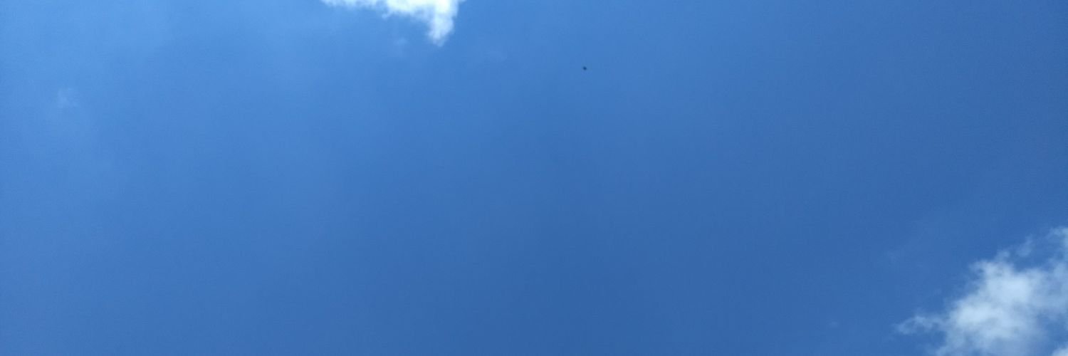 TheDonnellski's profile banner image