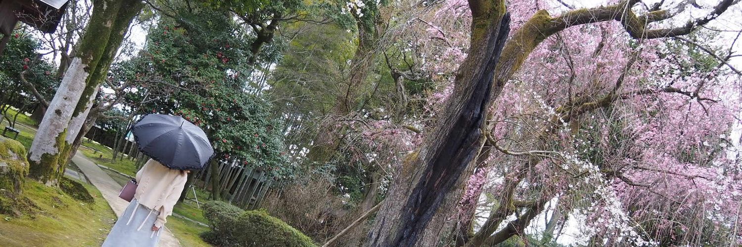 ちゃんふぁる banner