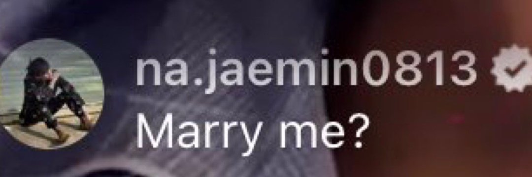 lionajaem's profile banner image