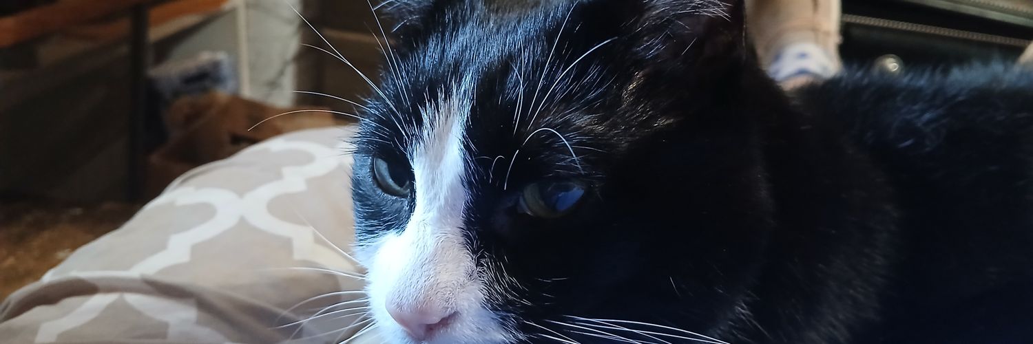colgrd75's profile banner image