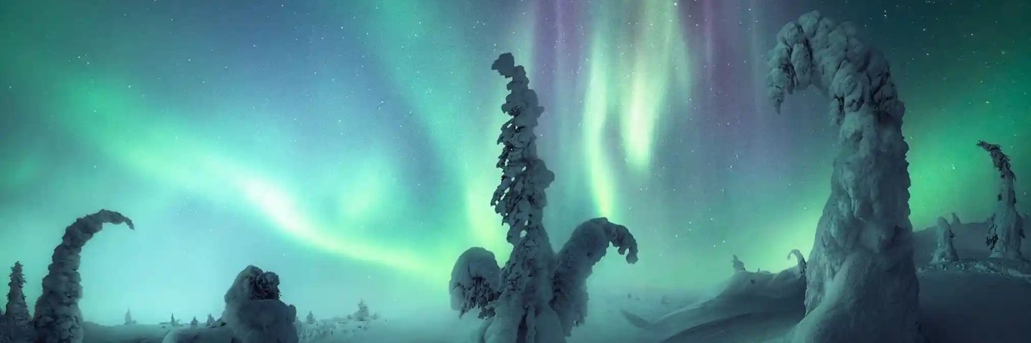 Michelle Valdez banner