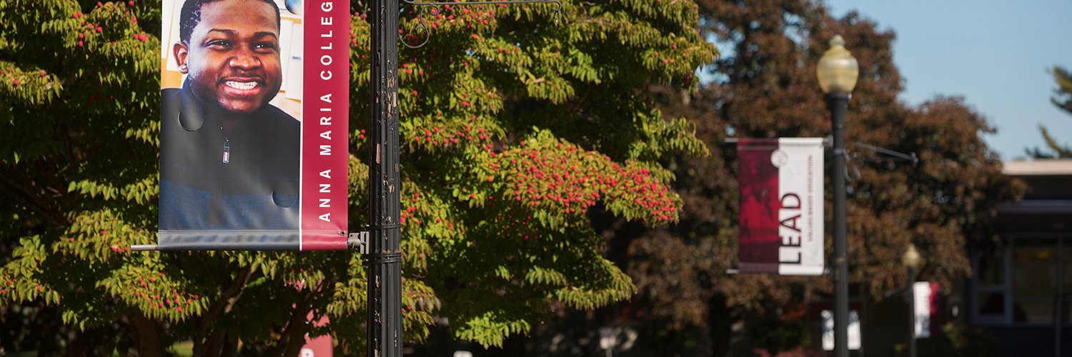 AnnaMariaPres's profile banner image