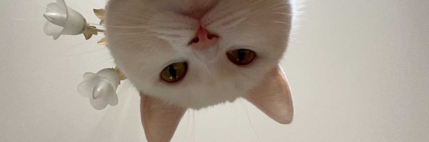 chloekct's profile banner image