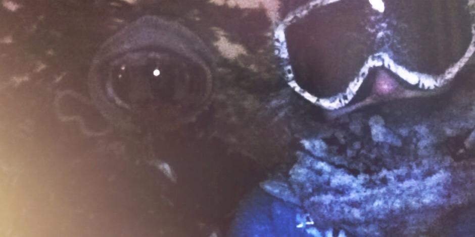 Rae_Karleigh's profile banner image