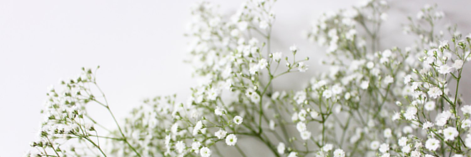 elainekohyiling's profile banner image
