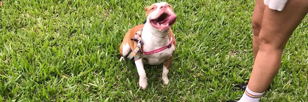 jaquecastroo_'s profile banner image
