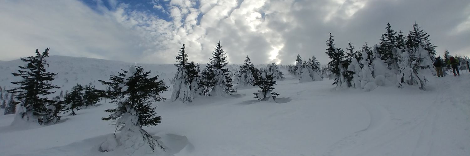 Grafit Studio Graficzne banner