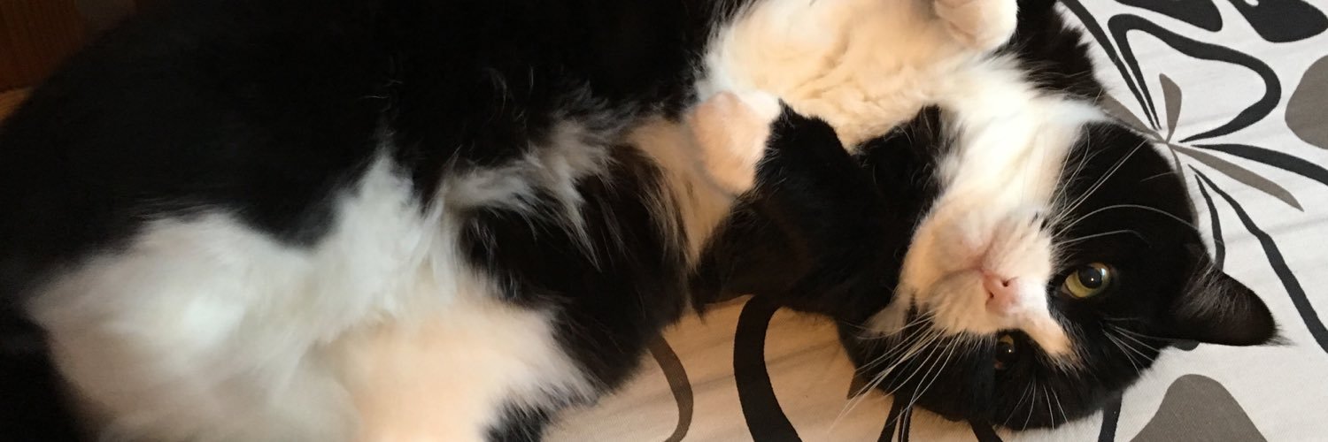 GrusellAxel's profile banner image
