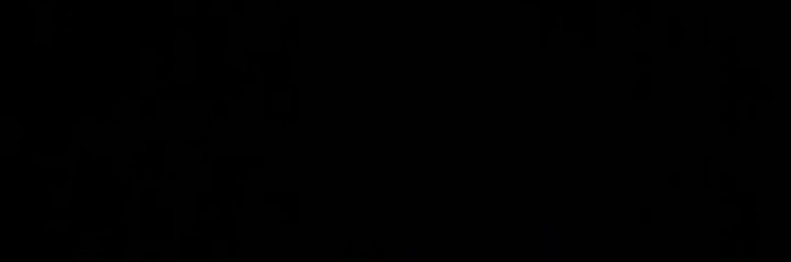 YG Suie banner