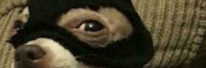 kate_chris_'s profile banner image