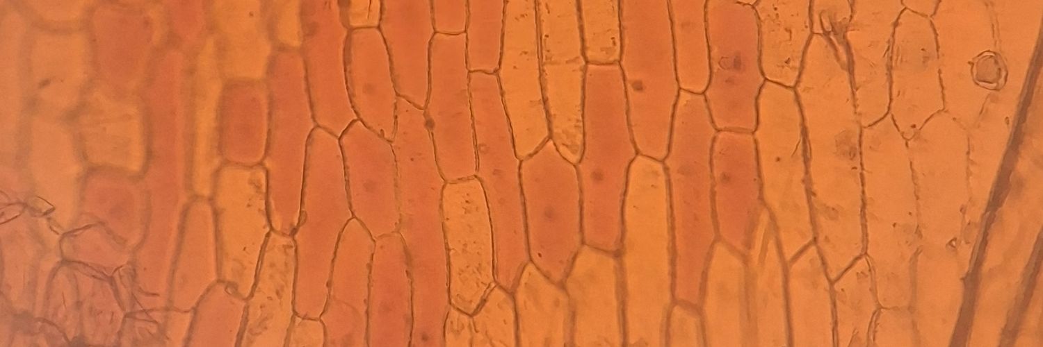 n0000turh0e banner
